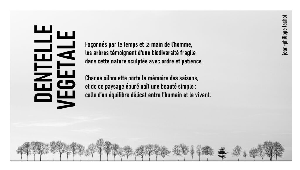 ACCUEIL panneau jean philippe bio cadre 110x170cm site artistes en bourgogne